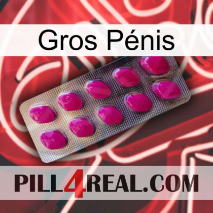 Gros Pénis 09